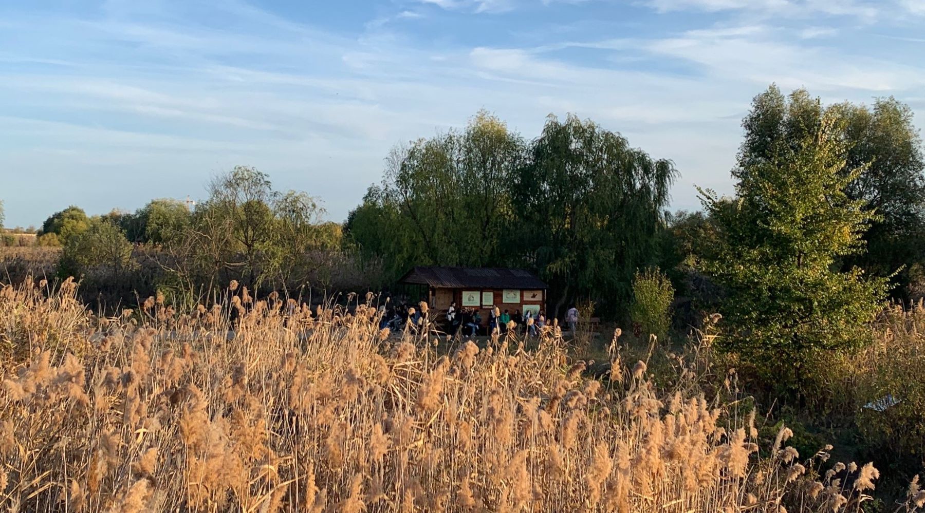 Promovarea Științei - Atelierul Biodiversității